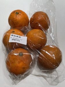 ネーブルアオレンジ