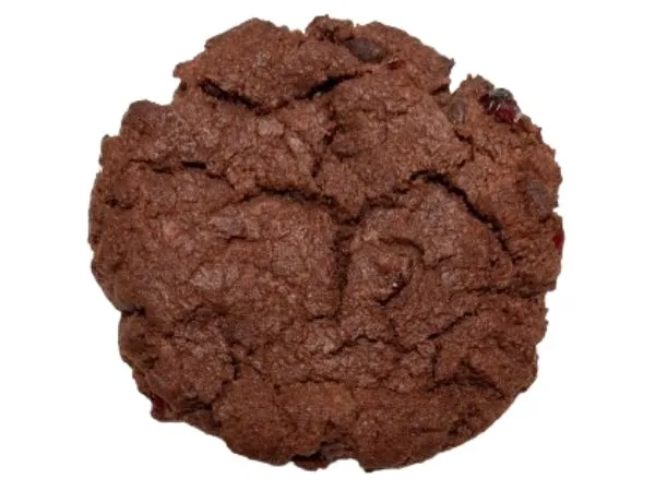 チョコレートクランベリー（オブゴベーカーのヴィーガンクッキー）